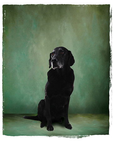 Joe Carr Photography | studio portraits