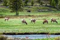 DSC_9264-8 (337)-web
