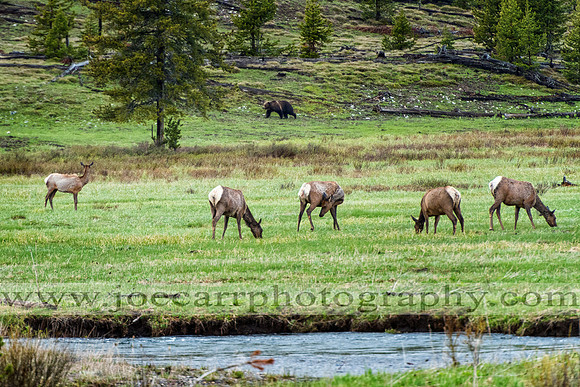 DSC_9264-8 (337)-web