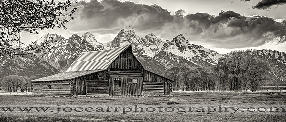 DSC_8448-sepia-crop-web