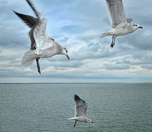 Joe Carr Photography | commercial photography